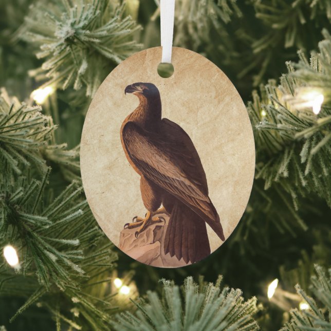 Audubon's Young Bald Eagle on Brown Rock Metal Ornament (Insitu)