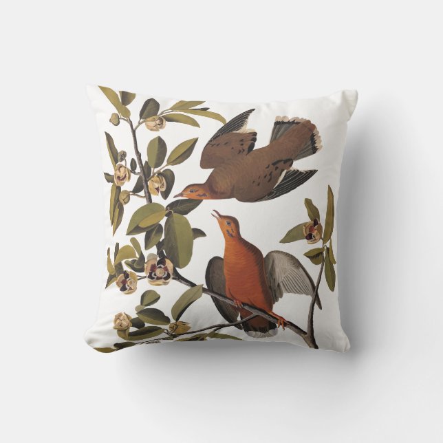 Audubon's Zenaida Dove Birds on Tree Branch Throw Pillow (Front)