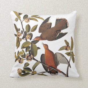 Audubon's Zenaida Dove Birds on Tree Branch Throw Pillow
