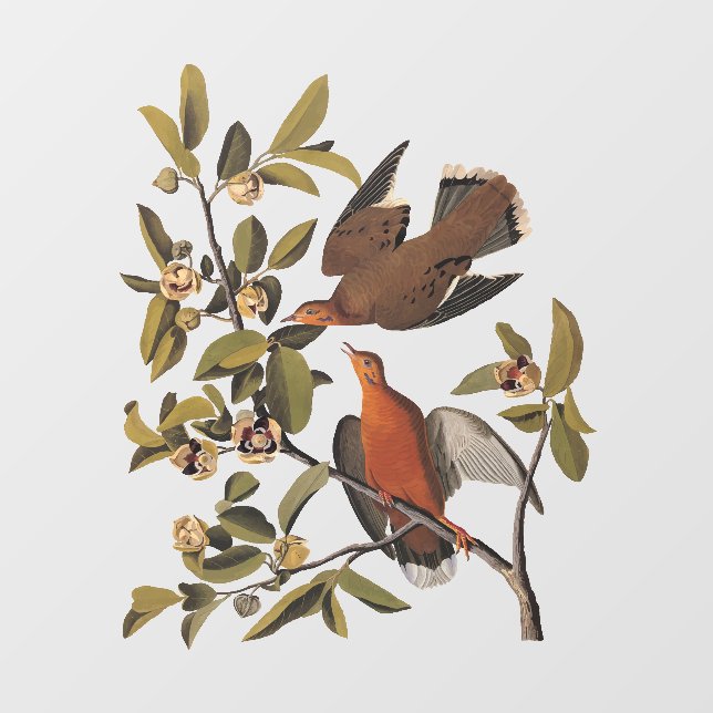 Audubon's Zenaida Dove Birds on Tree Branch Window Cling (Sheet)