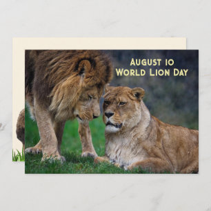 Aug 10, World Lion Day 5 x 7 card