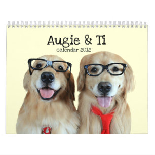Augie et calendrier 2012 du golden retriever du Ti