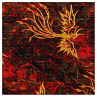 Augmentation du tissu de Phoenix