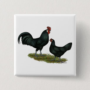 Augsburger Chickens 2 Inch Square Button