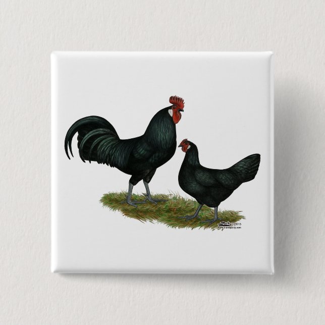 Augsburger Chickens 2 Inch Square Button (Front)