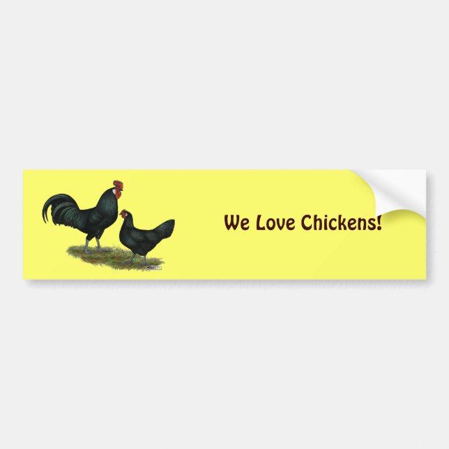 Augsburger Chickens Bumper Sticker (Front)