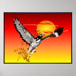 Augur rencontre le soleil du matin. affiche 4x3