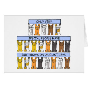 August 16th Birthday, Cartoon Cats.