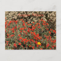 August Ablaze