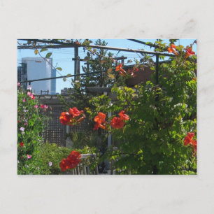 August Garden Postcard