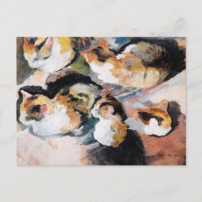 August Macke's Katzenstudien (Study of a Cat) Postcard (Front)