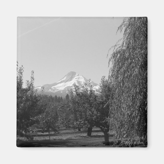 August Mt Hood Magnet (Front)