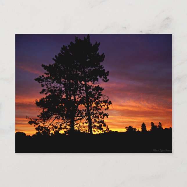 August Sunrise Postcard (Front)
