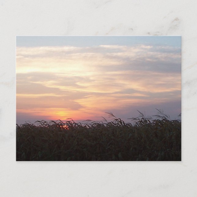 August Sunrise Postcard (Front)