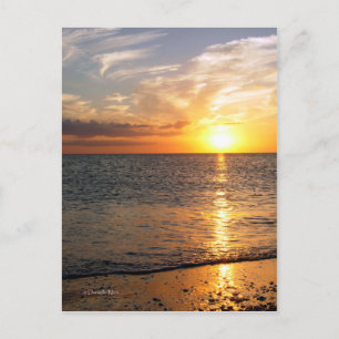 August Sunset Postcard