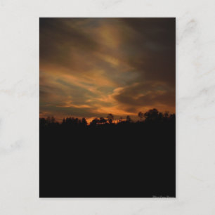 August Sunset Postcard
