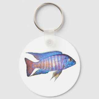 Aulonocara peacock keychain