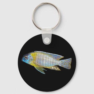 Aulonocara steveni keychain