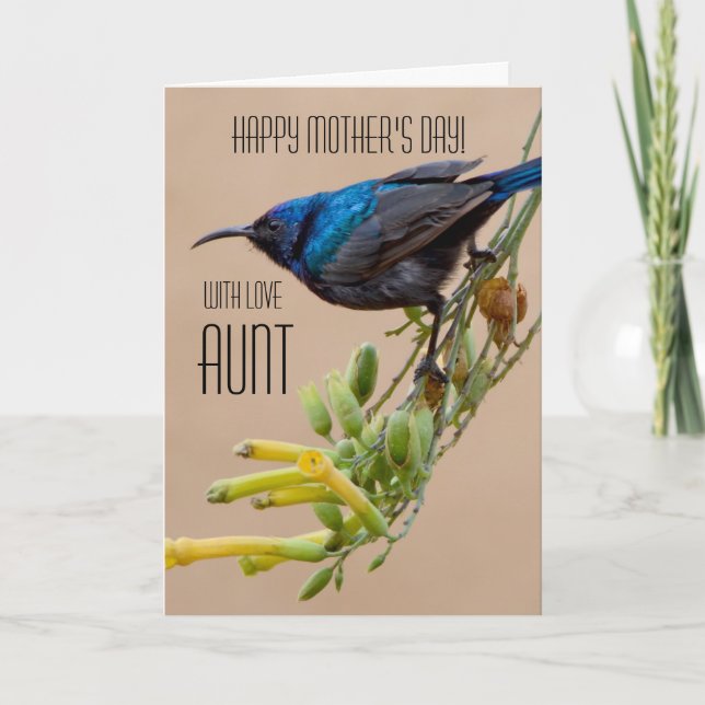 Aunt / Happy Mother's Day -  Sun-bird Card (Front)