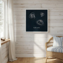 Aurelia aurita Educational Poster 
