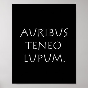 Auribus teneo lupum poster