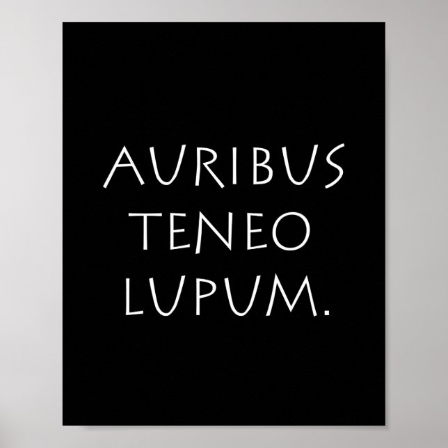 Auribus teneo lupum poster (Front)