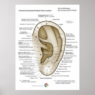 Auriculotherapy Ear Acupuncture Poster