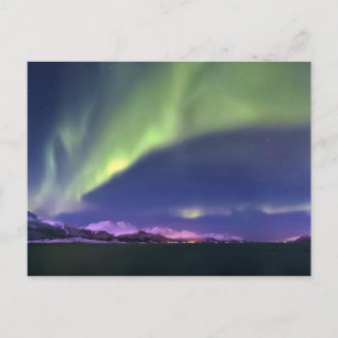 Aurora Borealis above Lyngenfjorden Norway Postcard