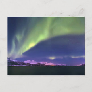 Aurora Borealis above Lyngenfjorden Norway Postcard