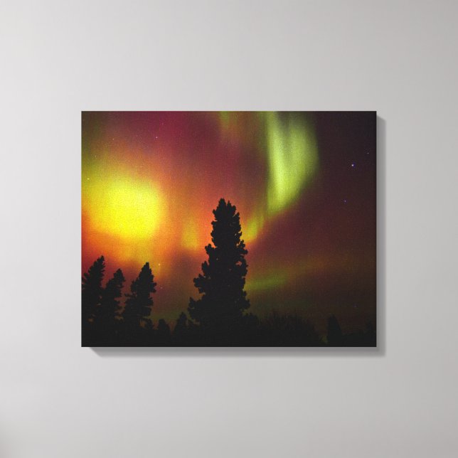 Aurora Borealis and Trees Canvas Print (Front)