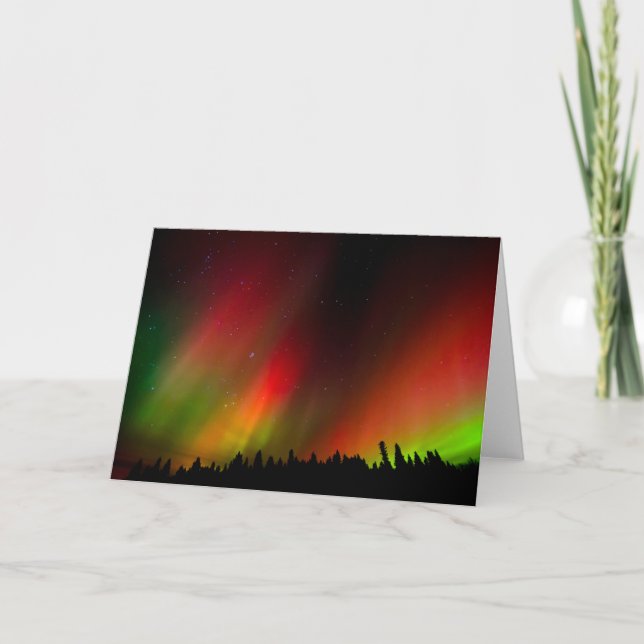 Aurora Borealis and trees Card (Front)