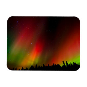 Aurora Borealis and trees Magnet
