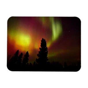 Aurora Borealis and Trees Magnet