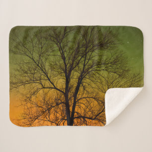 Aurora Borealis & Cottonwood Tree Sherpa Blanket