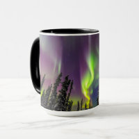 Aurora Borealis | Fairbanks, Alaska