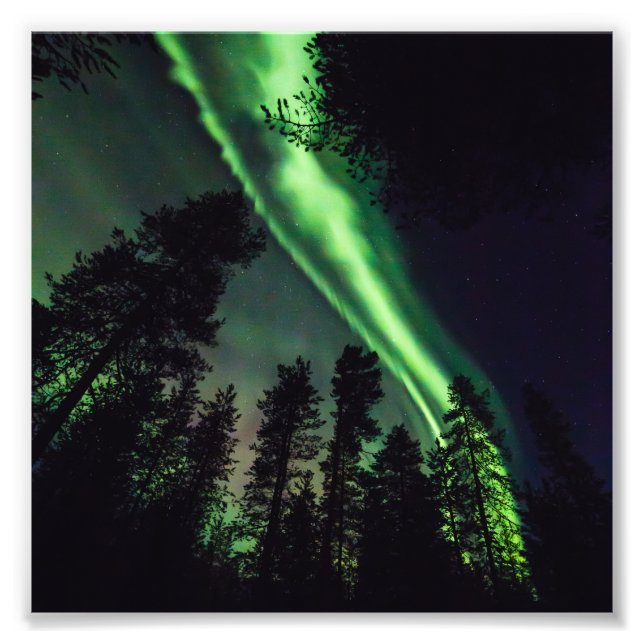 Aurora borealis in Finnish Lapland Photo Print (Front)