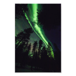 Aurora borealis in Finnish Lapland Photo Print