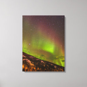 Aurora Borealis   Mountains Fairbanks Alaska Canvas Print