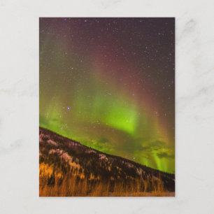 Aurora Borealis Mountains Fairbanks Alaska Postcard