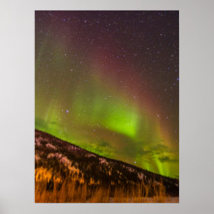 Aurora Borealis   Mountains Fairbanks Alaska Poster
