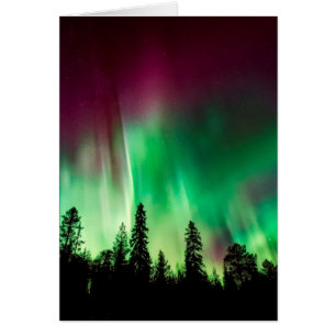 Aurora borealis northern lights