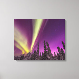 Aurora Borealis Northern Lights Fairbanks Alaska Canvas Print