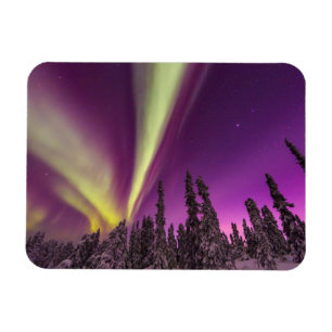Aurora Borealis Northern Lights Fairbanks Alaska Magnet