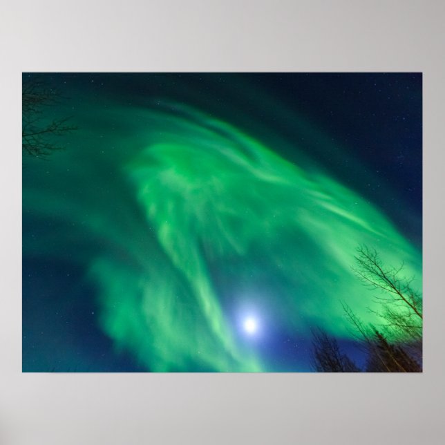 Aurora Borealis Northern Lights | Fairbanks Poster (Front)