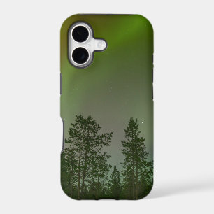 Aurora Borealis Northern Lights Skies Glow Sparkle