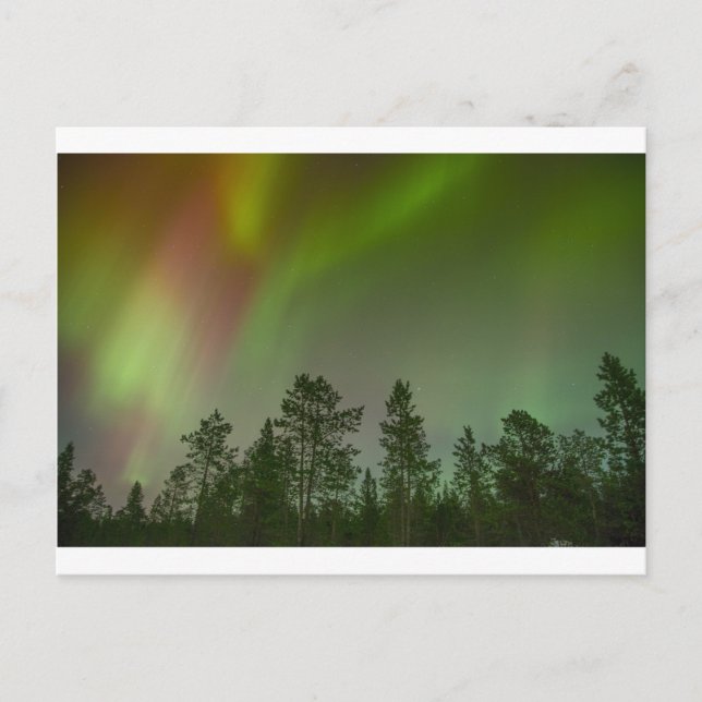 Aurora Borealis Northern Lights Skies Glow Sparkle Postcard (Front)