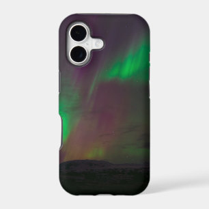 Aurora Borealis Northern Lights Trees Nature Lands
