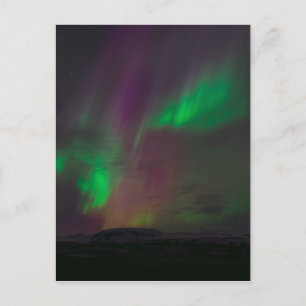 Aurora Borealis Northern Lights Trees Nature Lands Postcard