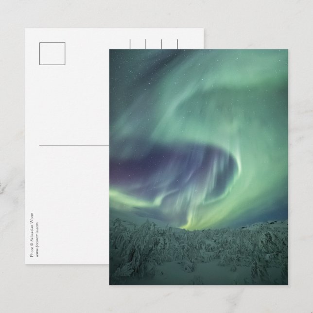 Aurora Borealis Postcard (Front/Back)