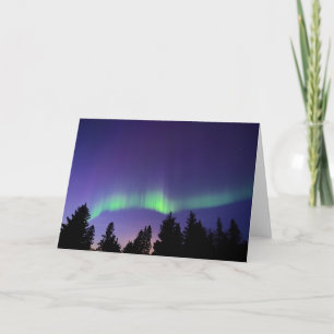 Aurora Borealis & Trees   Manitoba, Canada Card